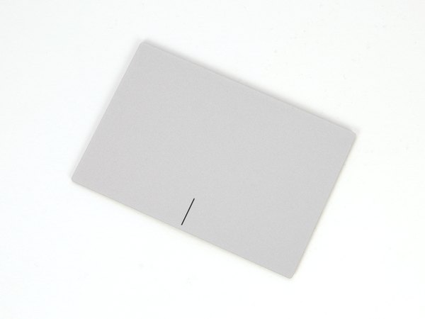 کالبدشکافی