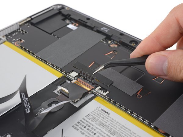 کالبدشکافی