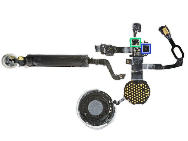 کالبدشکافی