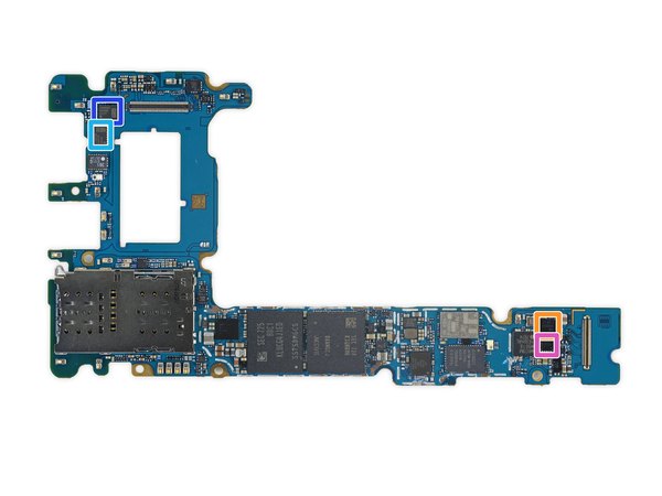 کالبدشکافی